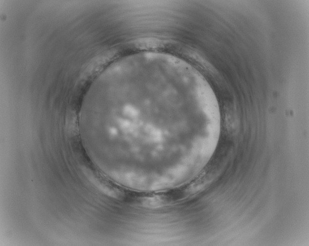 X0000074960411200609291918