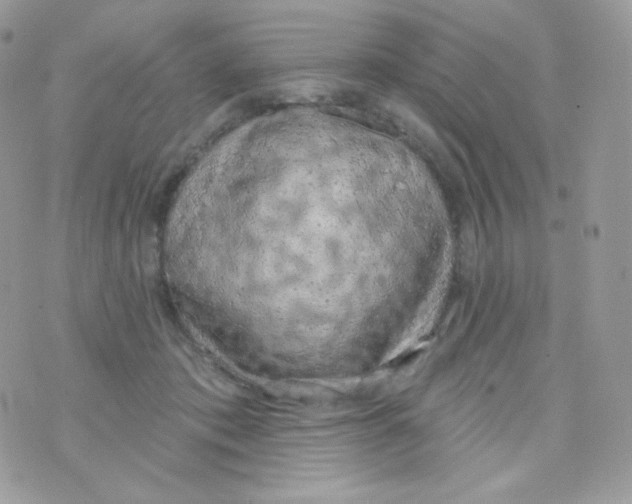 X0000074960413200609291918