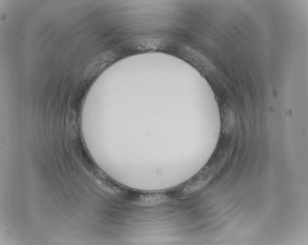 X0000074960414200609291918