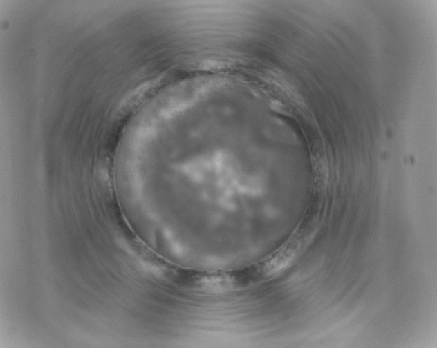 X0000074960415200609291918