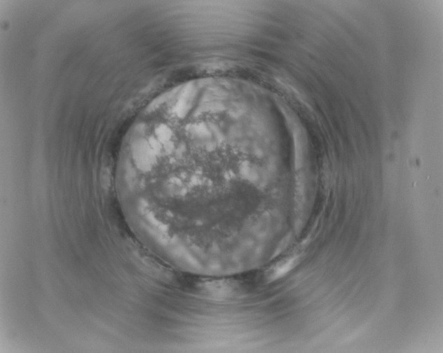 X0000074960417200609291917