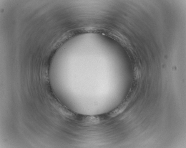 X0000074960421200609291917