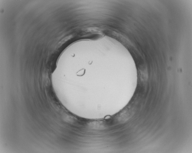 X0000074960422200609291917