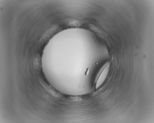 X0000074960424200609291917