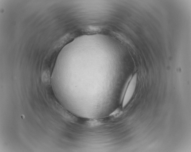 X0000074960425200609291917