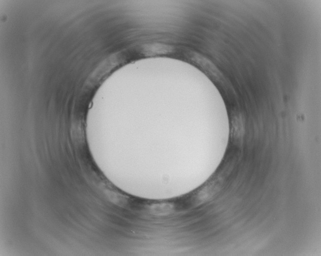 X0000074960426200609291917