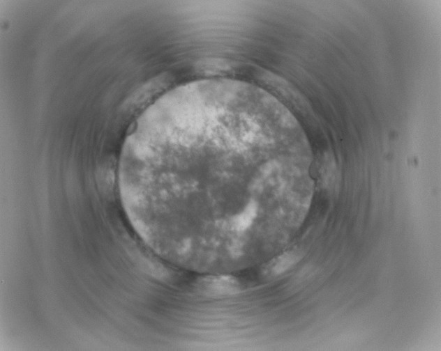 X0000074960427200609291917