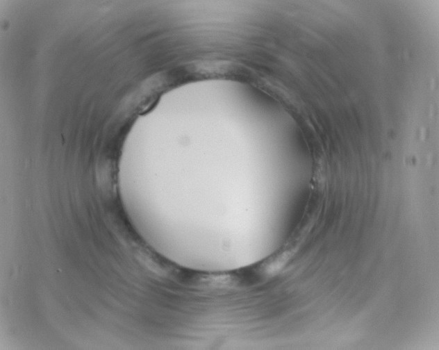 X0000074960428200609291917