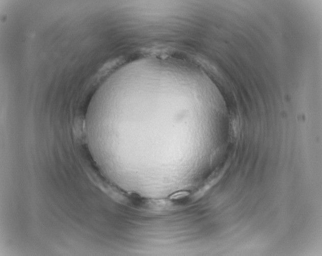 X0000074960429200609291917