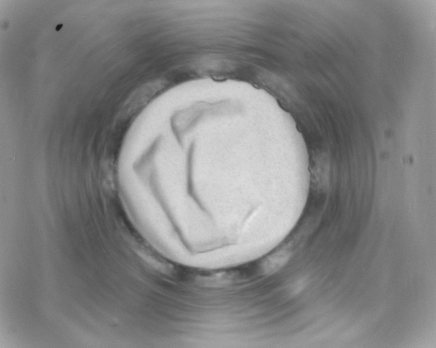 X0000074960430200609291917