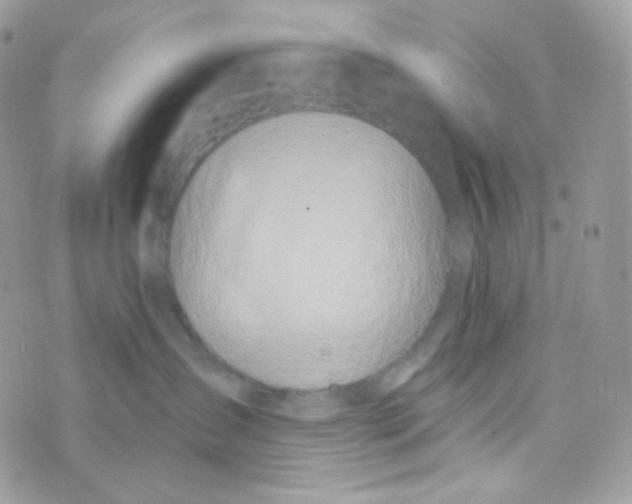 X0000074960431200609291917