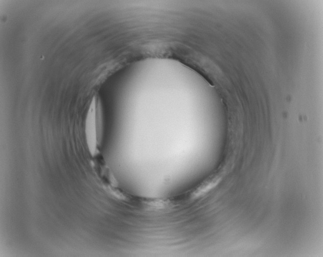 X0000074960432200609291917