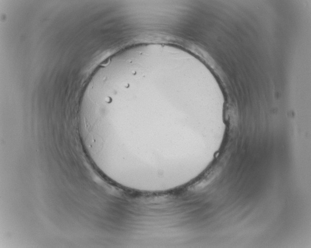 X0000074960433200609291916