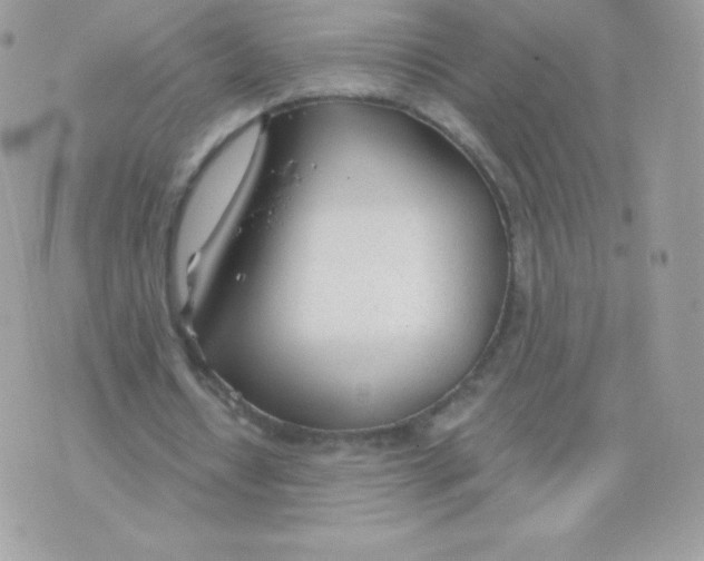 X0000074960434200609291916