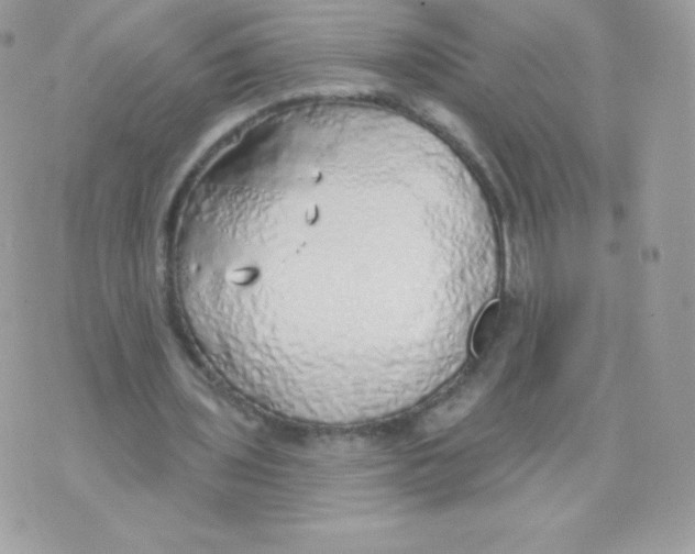 X0000074960435200609291916