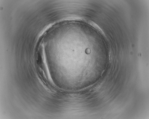 X0000074960436200609291916