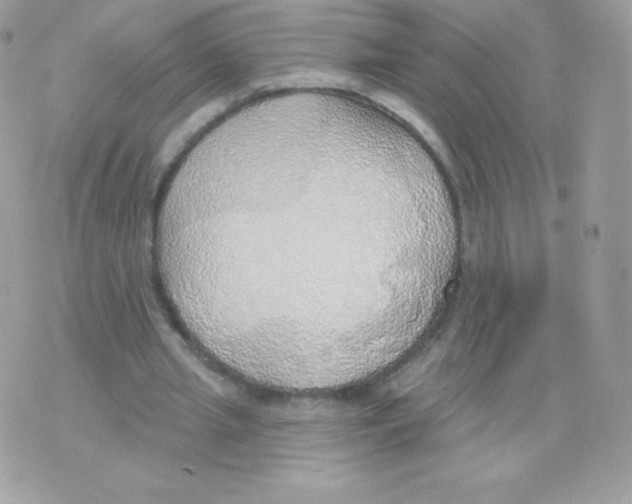 X0000074960437200609291917