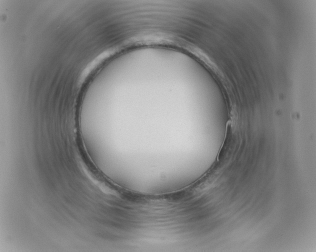 X0000074960438200609291917