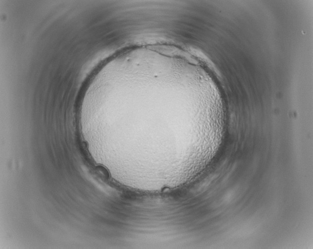 X0000074960439200609291917