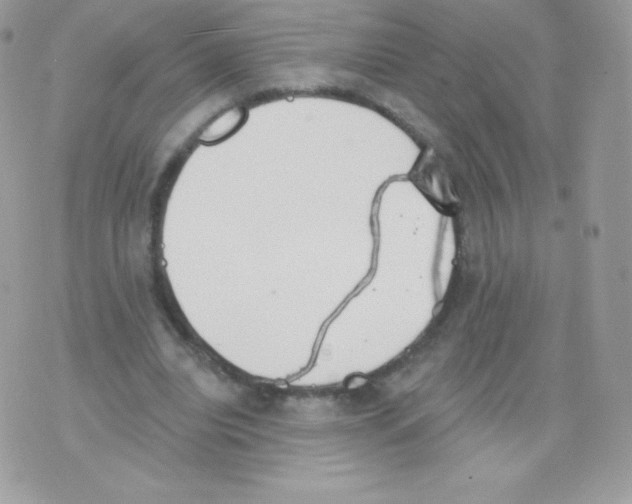 X0000074960440200609291917