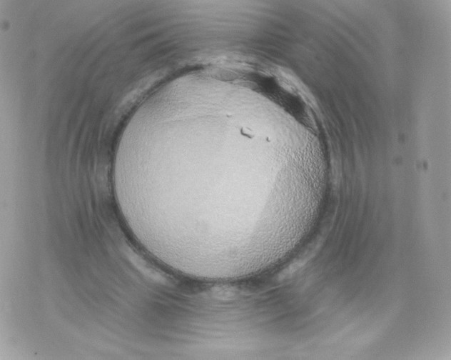 X0000074960441200609291917