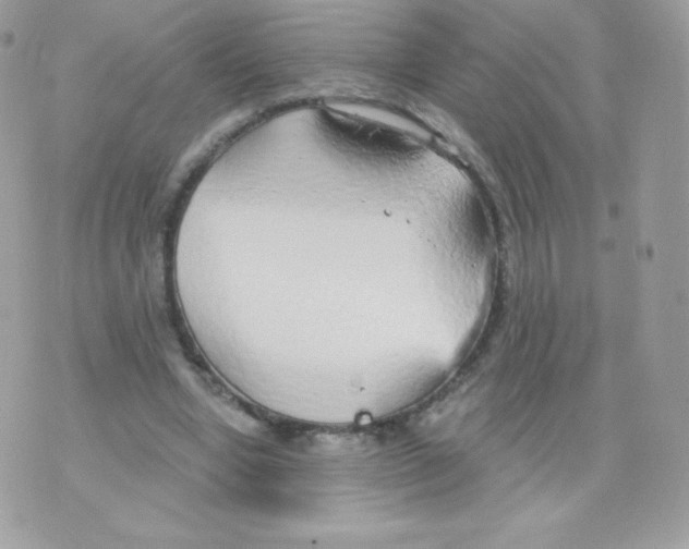 X0000074960442200609291917