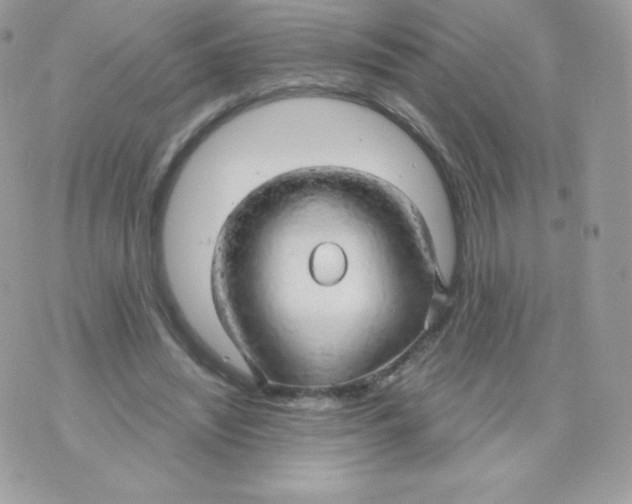 X0000074960444200609291917