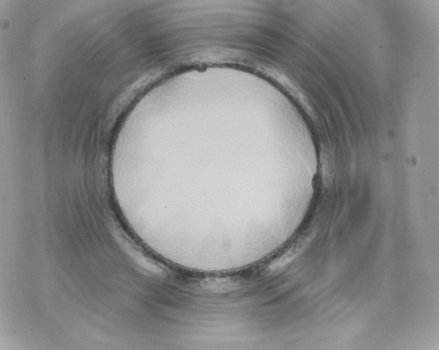 X0000074960445200609291917