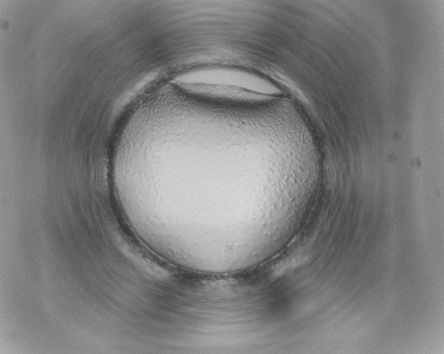 X0000074960446200609291917