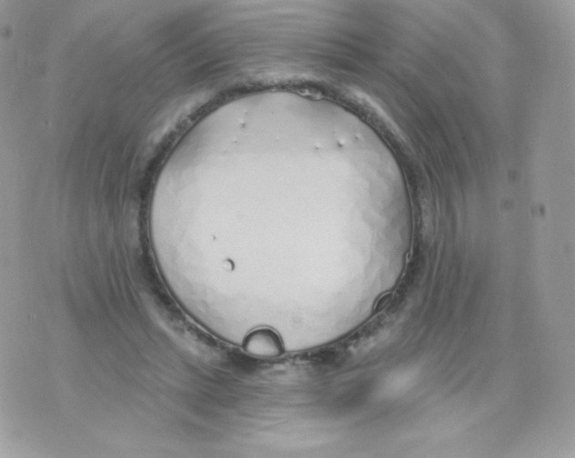 X0000074960447200609291917