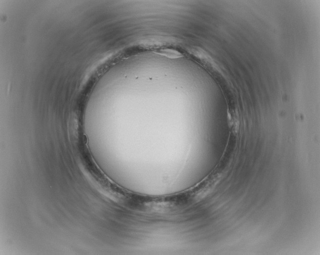 X0000074960448200609291917