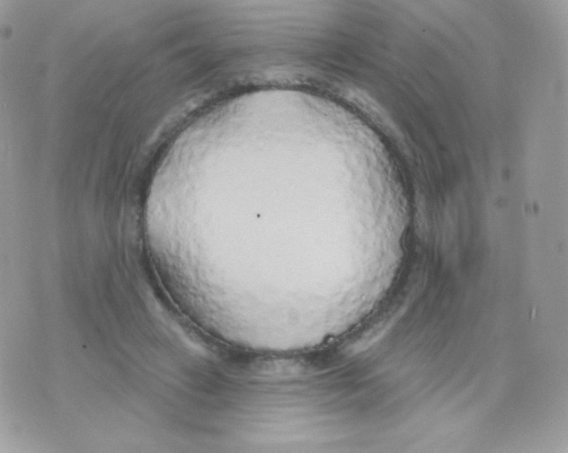 X0000074960449200609291917