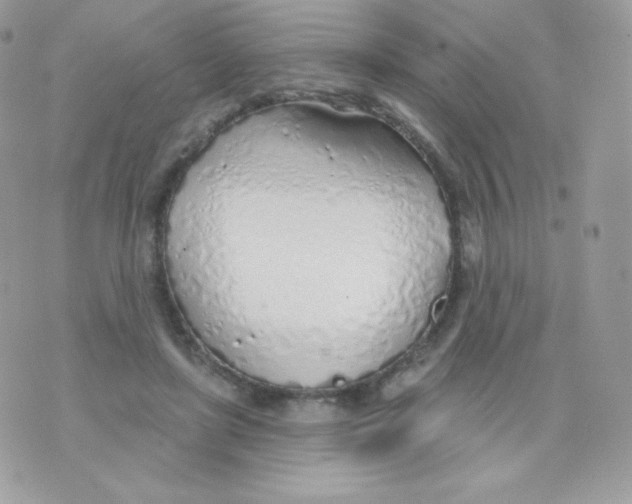 X0000074960451200609291917