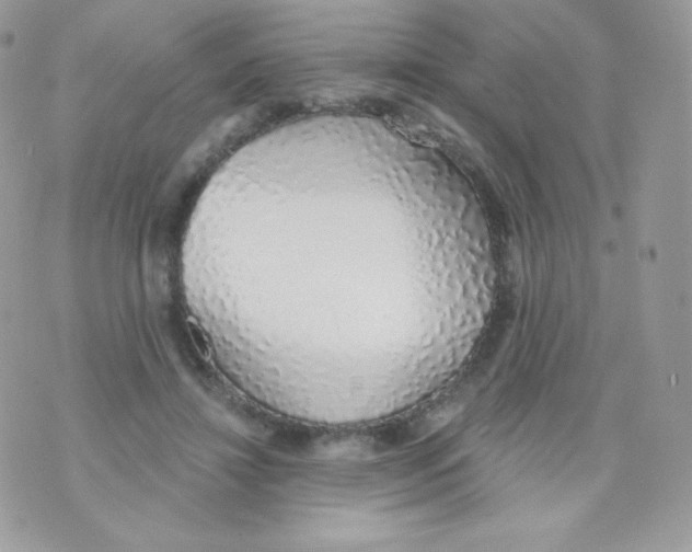 X0000074960452200609291917