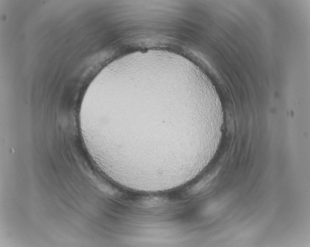 X0000074960453200609291917