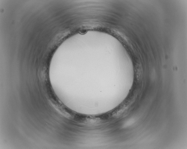 X0000074960455200609291917