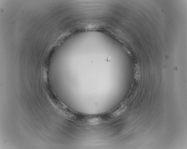 X0000074960456200609291917