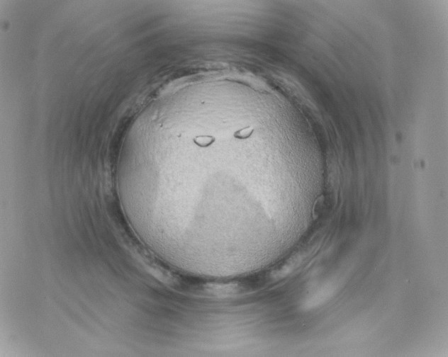 X0000074960457200609291917