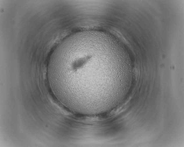 X0000074960458200609291917