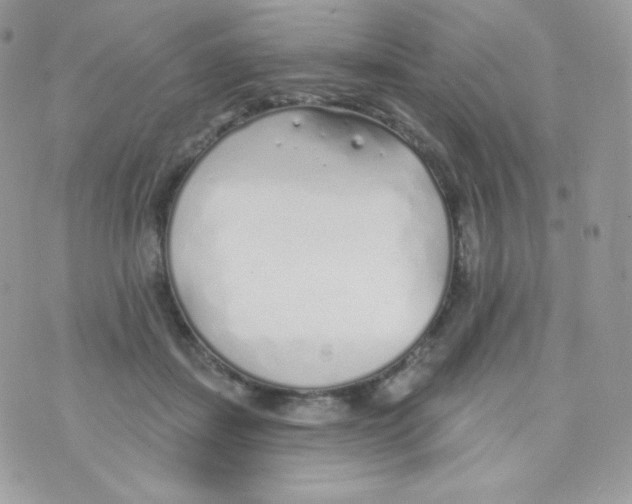 X0000074960459200609291917