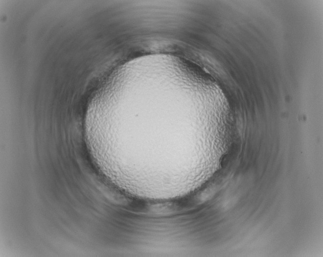 X0000074960461200609291917