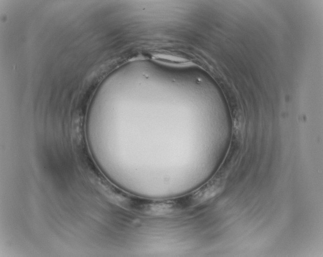 X0000074960462200609291917