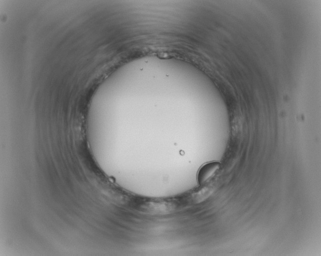 X0000074960464200609291917