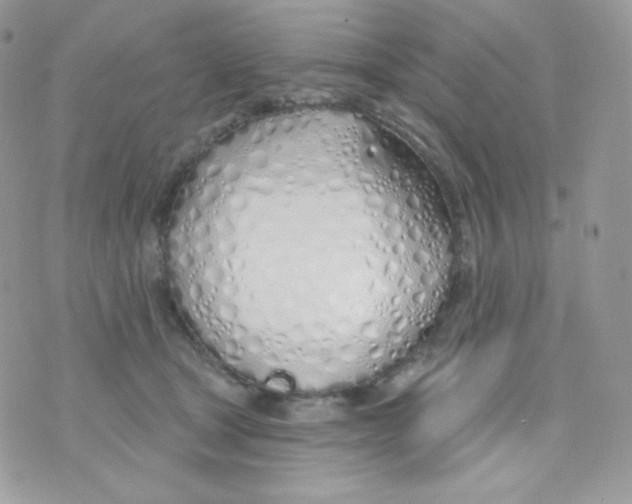 X0000074960465200609291917