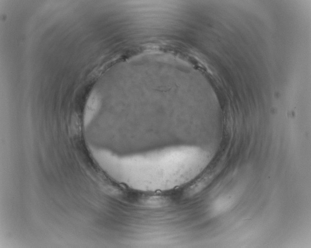 X0000074960467200609291917