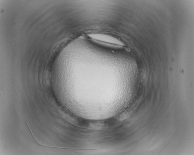 X0000074960470200609291917