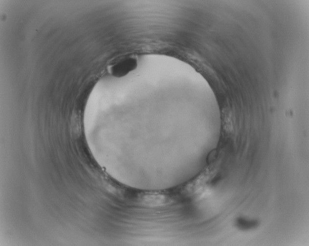 X0000074960471200609291917