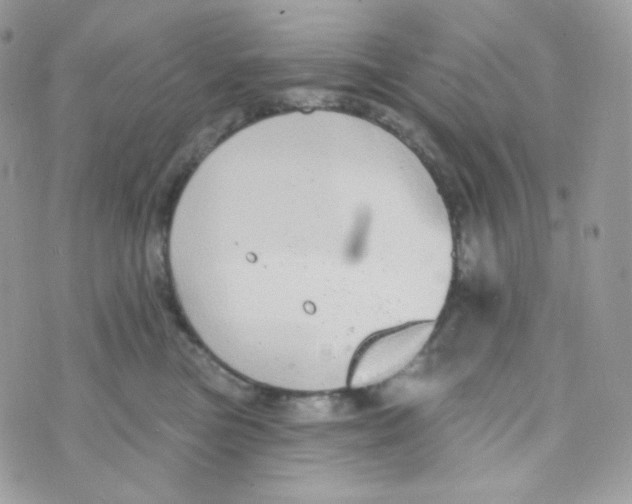 X0000074960473200609291917