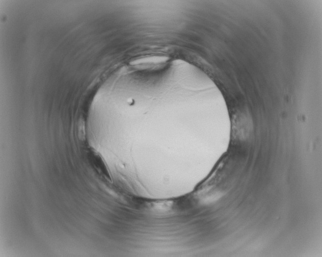 X0000074960474200609291917