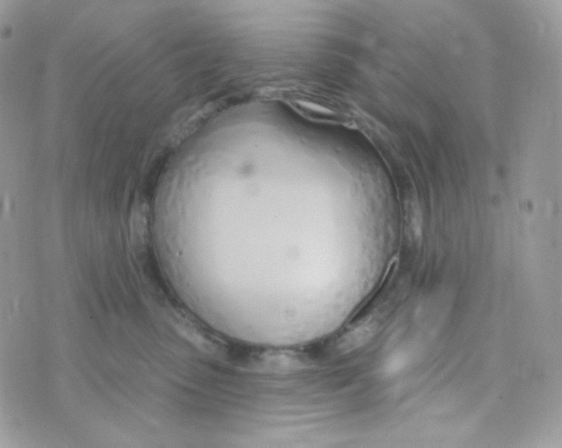 X0000074960475200609291917